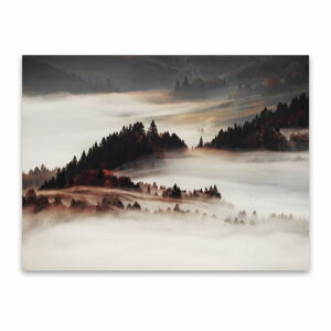 Obraz na plátně Styler Mist, 85 x 113 cm