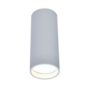 Eco-Light LED stropní bodové světlo Stag, CCT a RGBW, bílá