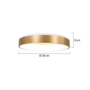 Steinhauer LED stropní světlo Ringlede, 2 700 K Ø 38 cm zlatá