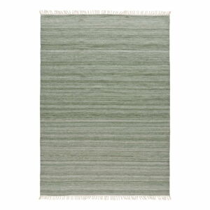 Zelený venkovní koberec z recyklovaného plastu Universal Liso, 160 x 230 cm