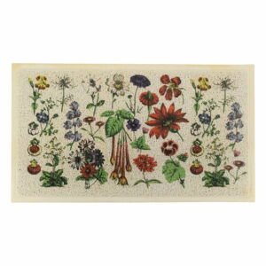 Rohožka 40x70 cm Botanicals – Artsy Doormats