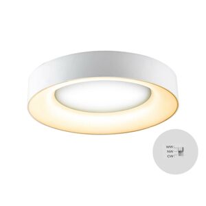 EVN LED stropní světlo Sauro, Ø 40 cm, bílá