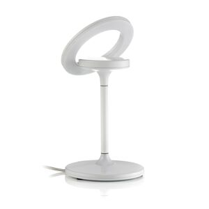 LTS LED stolní lampa Filigree, otočná/naklápěcí, bílá