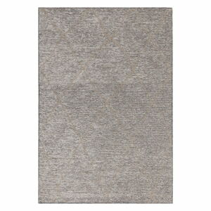 Šedý koberec s příměsí juty 200x290 cm Mulberrry – Asiatic Carpets