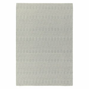 Světle šedý vlněný koberec 100x150 cm Sloan – Asiatic Carpets