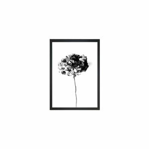 Plakát 24x29 cm Velvet Flower - Tablo Center