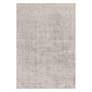 Šedý koberec 170x120 cm Aston - Asiatic Carpets