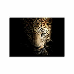 Skleněný obraz 100x70 cm Leopard - Styler