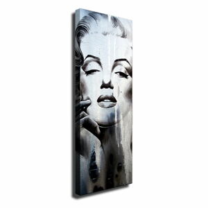 Nástěnný obraz na plátně Marilyn, 30 x 80 cm