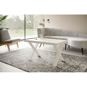 Konferenční stolek LOFT X 120x70 cm Bílá Bílá
